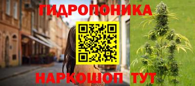 гидропоника Нягань