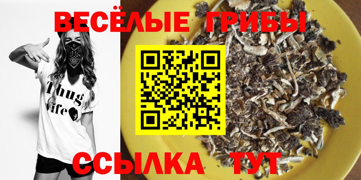 Псилоцибиновые грибы Psilocybe Севастополь